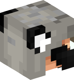 Minecraft head — People