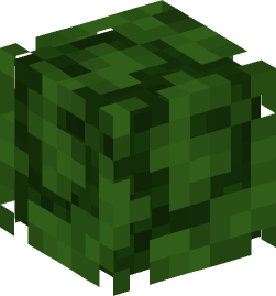 Minecraft head — Plants