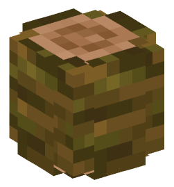 Minecraft head — Blocks