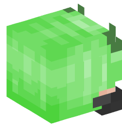 Minecraft head — People