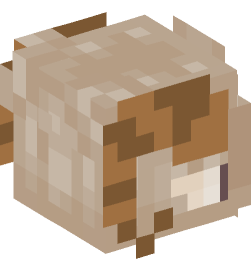 Minecraft head — Creatures