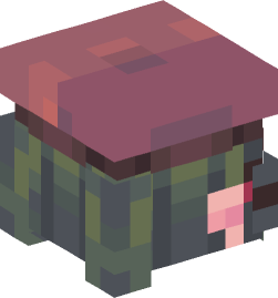 Minecraft head — People