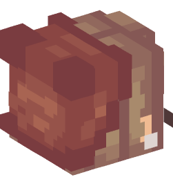 Minecraft head — People