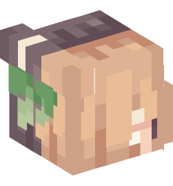 Minecraft head — People