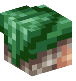 Minecraft head — People