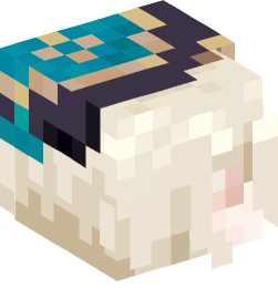 Minecraft head — People