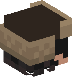 Minecraft head — People