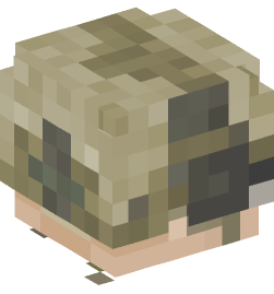 Minecraft head — People