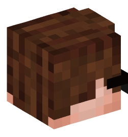 Minecraft head — People