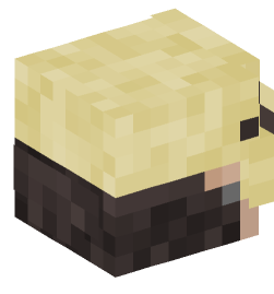 Minecraft head — People