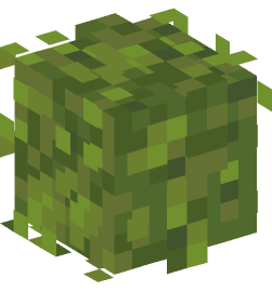 Minecraft head — Plants