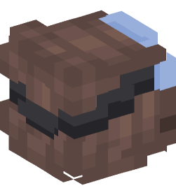 Minecraft head — People