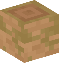 Minecraft head — Blocks