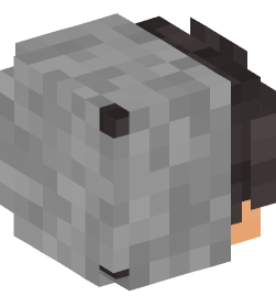 Minecraft head — People