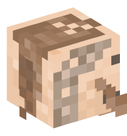 Minecraft head — People