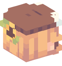 Minecraft head — People