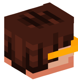 Minecraft head — People