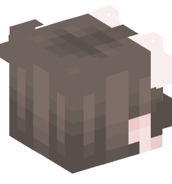 Minecraft head — People