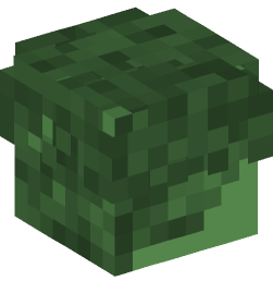 Minecraft head — Creatures