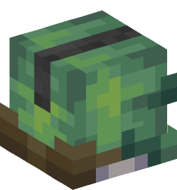 Minecraft head — Creatures