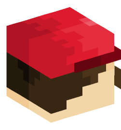 Minecraft head — People