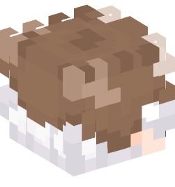 Minecraft head — People