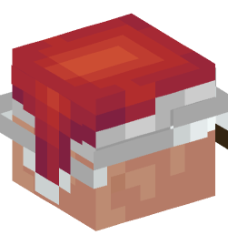 Minecraft head — Creatures