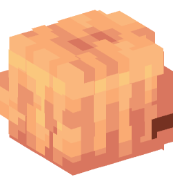 Minecraft head — People