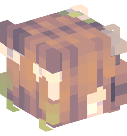 Minecraft head — People