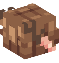 Minecraft head — Creatures