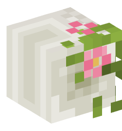 Minecraft head — Decor