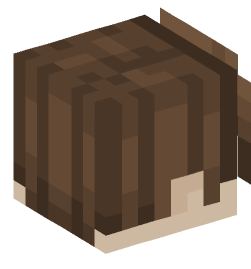 Minecraft head — People