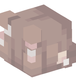 Minecraft head — People