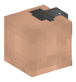 Minecraft head — People