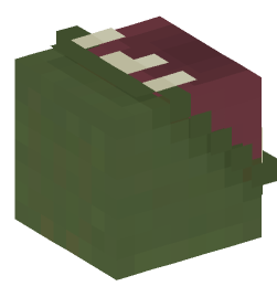 Minecraft head — Monsters