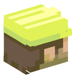 Minecraft head — People