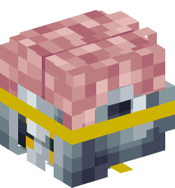 Minecraft head — Creatures