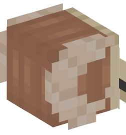 Minecraft head — Creatures