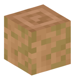 Minecraft head — Blocks