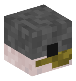 Minecraft head — Animals