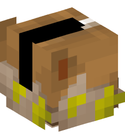 Minecraft head — Decor