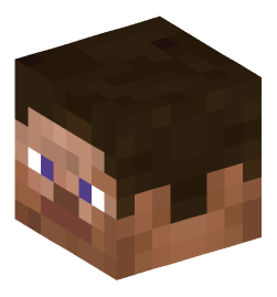 Minecraft head — Miscellaneous