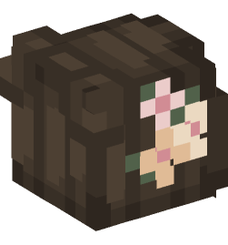 Minecraft head — People