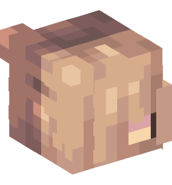 Minecraft head — People