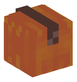 Minecraft head — Decor