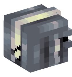 Minecraft head — People