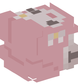 Minecraft head — People