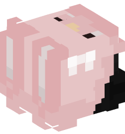 Minecraft head — People