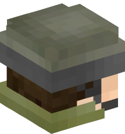 Minecraft head — People