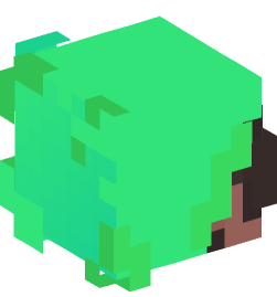 Minecraft head — People